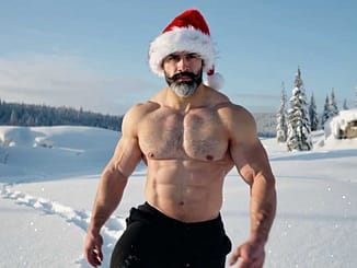 Weihnachtsmann