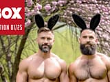 Intro Banner