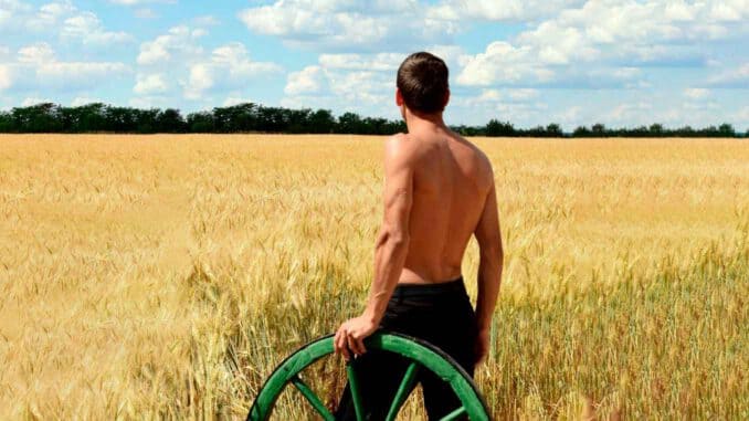 Reise Bulgarien Mann im Feld